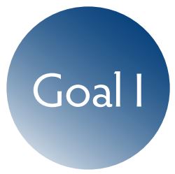 Goal 1 